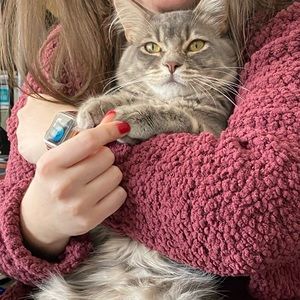 Meet your Posher, Cassandra